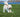 Top Tips for Keeping Your Dog Safe