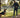 Training for Safety Commands and Managing Aggressive Behavior in Pets