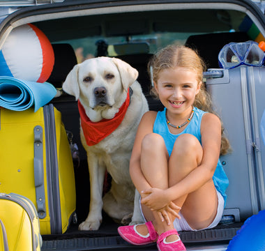 A Guide to Safe and Happy Pet Travel