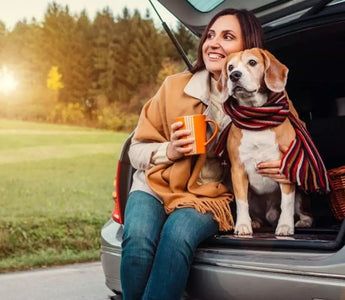 Planning A Safe And Enjoyable Trip For You And Your Pet