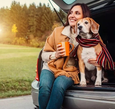 Planning A Safe And Enjoyable Trip For You And Your Pet
