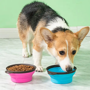 Take Your Dog's Water & Food Bowl Anywhere with this Collapsible Silicone Keychain Attachable Bowl!