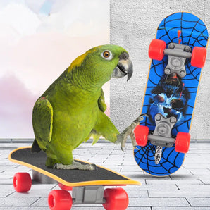 Durable Mini Skateboard Parrot Bird Cage Toy training Skateboard Budgies Parakeet Growth Toy Intelligence Bird Accessories