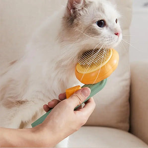 Pumpkin Pet Cat Brush Comb Dog Comb Hair Emoval Self Cleaning Comb for Shedding Dog Cat Grooming Combs Clean Brush Pet Supplies