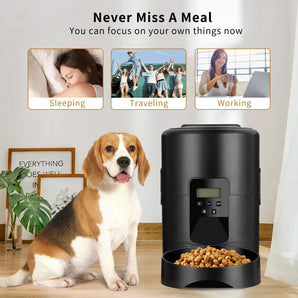 2l Button USB Automatic Pet Feeder Smart Cat Feeder Dog Slow Food Dispenser with Timer Pet Feeding Pet Supplies Food Bowl