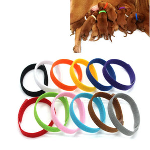 12Pcs/Set Puppy Collars Adjustable Nylon Newborn Pet Color Collar Small Pet Dog Collars Kitten Necklace Marker Rope Pet Supplies