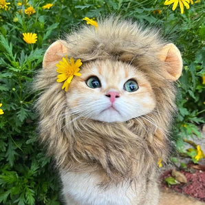 Cute Lion Mane Cat Wig Hat Funny Pets Clothes Cap Fancy Party Dogs Cosplay Costume Kitten Hat with Ears Accessories Cat Costume