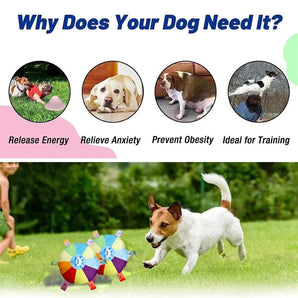 Dog Chew Balls Flying Disc Grab Tabs Pet Interactive Bite Resistant Squeaker Toys Puppy Training Outdoor Game Accessories