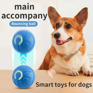 Pet Jumping Ball Smart Electric Toy Dog Cat Automatic Plaything Usb Rechargeable Fun Artifact Balls Dogs Toys Product