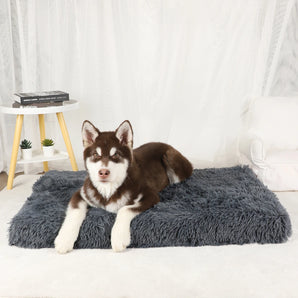 Dog Mat Pet Bed Warm Accessories Beds for Dogs Medium Large Plush Washable Kennel Small Cats Basket Sofa Puppy & Furniture Big