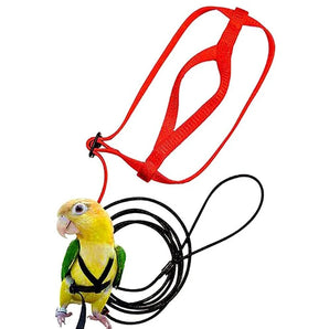 Parrot Bird Leash Outdoor Flying Traction Straps Band Adjustable Anti-Bite Training Rope