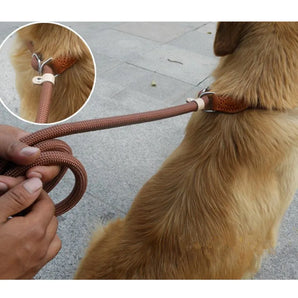 Dog Walking Leash Slip Rope Lead Leash Heavy Duty Braided Rope Adjustable Loop Collar Training Leashes for Large Dogs