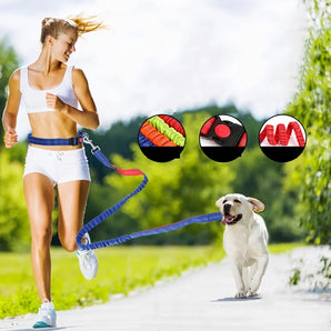 Dog Collar Retractable Bungee Leash Hands-Free Running Walking Adjustable Waist Belt Harness Big Collars for Dogs Choker Set