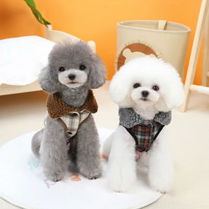 Warm Puppy Coat Winter Fur Collar Dog Clothes for Small Medium Dogs Cats Jacket Chihuahua Poodle Outfits Shih Tzu Pug Costumes