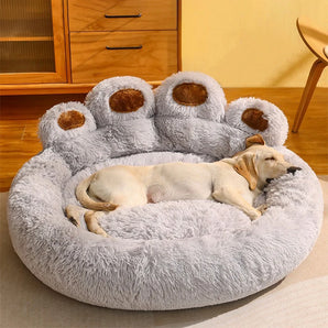 Dog Bed VIP Link