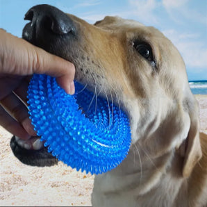 Durable Dog Chew Toys Dog Squeaker for Aggressive Teeth Cleaning Non Toxic TPR Dog Toys Molar Bite Rubber Chew Ball Accessories