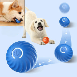 Dog Toy Smart Bouncing Rolling Ball Interactive Chew Jumping Ball USB Rechargeable Automatic Moving Cat Entertainment Products