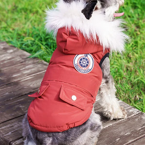 Pet Dog Jacket with Harness Winter Warm Dog Clothes for Labrador Waterproof Small Dog Coat Chihuahua French Bulldog Outfits