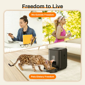 2l Button USB Automatic Pet Feeder Smart Cat Feeder Dog Slow Food Dispenser with Voice Timing Pet Feeding pet Supplie Food Bowl