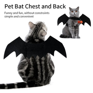 Halloween Cat Dog Clothes Black Bat Costume Wings Dress Up Pet Cosplay Prop Fashion Funny Accessories Party Products