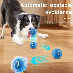 Pet Jumping Ball Smart Electric Toy Dog Cat Automatic Plaything Usb Rechargeable Fun Artifact Balls Dogs Toys Product