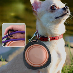 320ml Collapsible Outdoor Travel Portable Puppy Food Container Feeder Dish Bowl Pet Supplies Dog Pet Folding Silicone Bowl