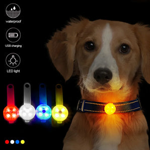 Dog Anti Loss Collars LED Waterproof Safety Flashing Light USB Rechargeable Night Glowing Pendant For Dogs Cats Pets