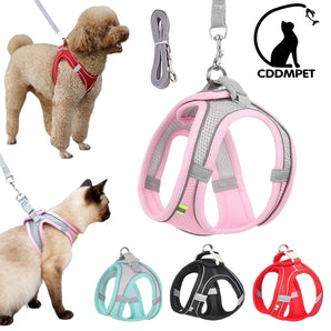 CDDMPET Puppy Harness Vest Breathable Mesh Dog Harness and Leash Set for Small Dogs Cats Walking Lead Leash Pug Pet Supplies