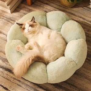 House for Cats Beds & Furnitures Products Supplies Pet Accessories Furniture Warm Accesories Cushions Winter Sofa Cat Bed