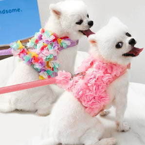 Pet Dog Accessories Pets Dogs Harness Leash Flower Decoration Small Cats Matching Leash Double Strap Classic Collar Dog Harness