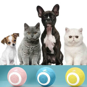 Automatic Rolling Jumping Ball for Dog Cat Training Interactive Toy Pet Bite-resistant Ball Kittens Gravity Jumping Balls