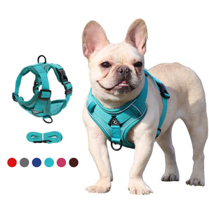 Dog Harness with 1.5m Traction Leash Set No Pull Adjustable Reflective Breathable Harness Pet Harness Vest for Small Dogs Cats